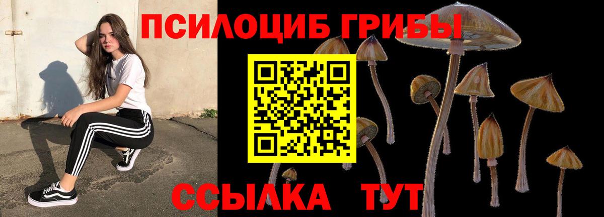 Галлюциногенные грибы GOLDEN TEACHER  Вход с VPN  Псилоцибиновые грибы мухоморы  Ревда 